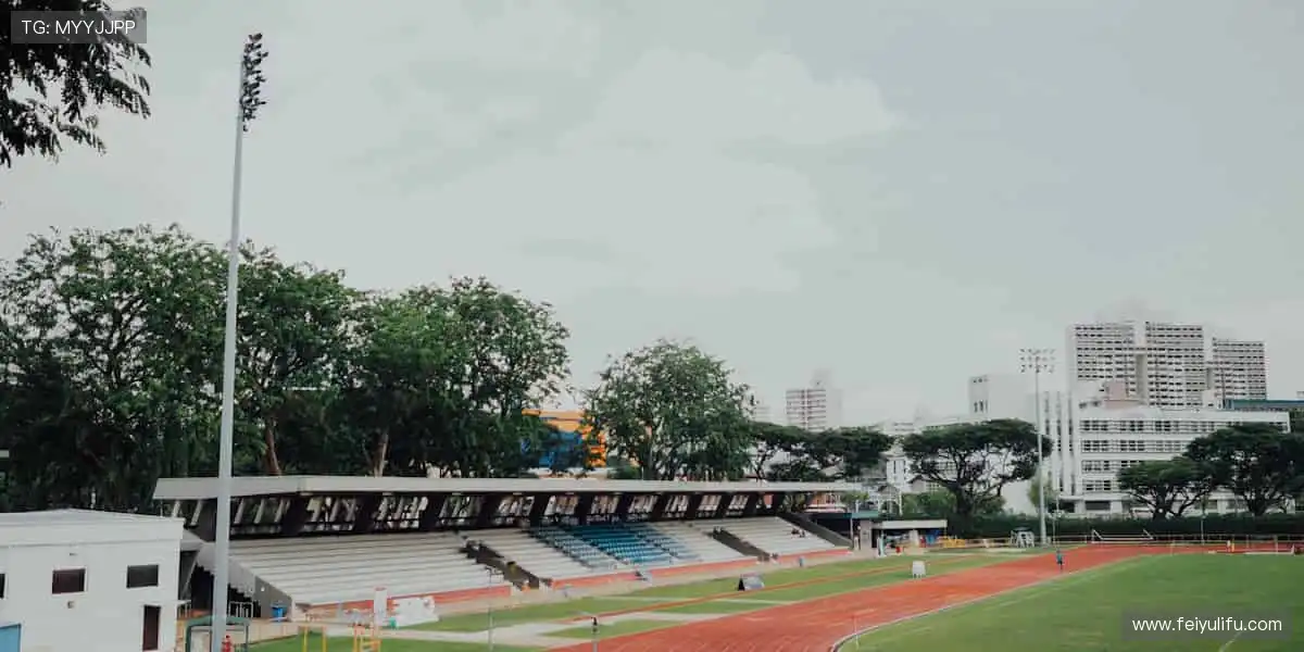 🎽 潮流设计，彰显你的态度！🌈